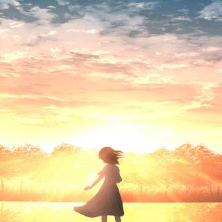 Morning sunrise HD mobile wallpaper