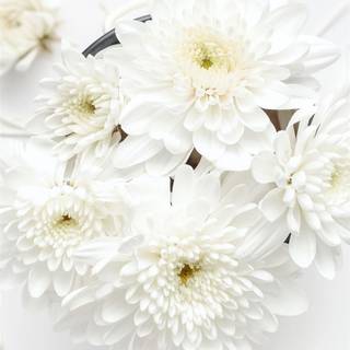 iPhone white HD wallpaper