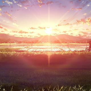 Morning sunrise HD mobile wallpaper