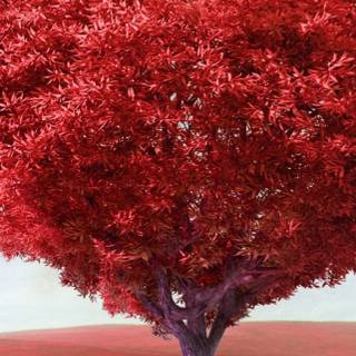 Valentines Day iPhones wallpaper