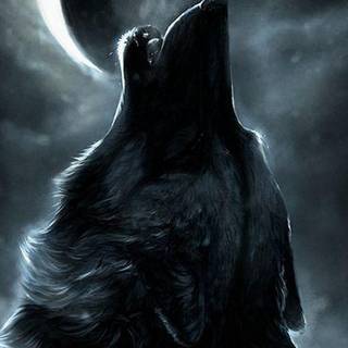Wolf iPhone 13 Pro Max wallpaper