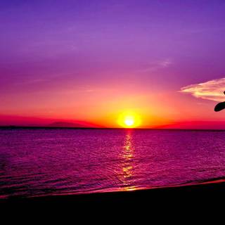 Sunset summer horizontal wallpaper