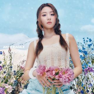 Antifragile wallpaper