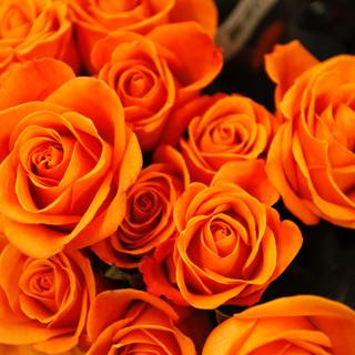 Orange floral wallpaper