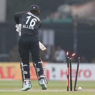 Finn Allen wallpaper