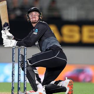 Finn Allen wallpaper