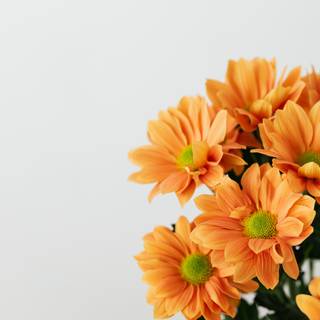 Orange floral wallpaper