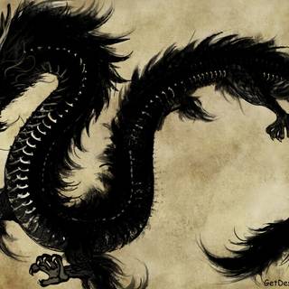 Avatar dragon wallpaper