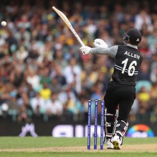 Finn Allen wallpaper