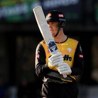 Finn Allen wallpaper