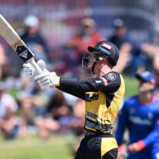 Finn Allen wallpaper