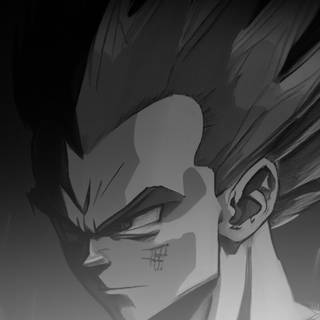 Vegeta black and white wallpaper