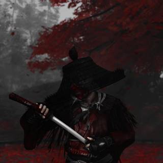 Ronin samurai wallpaper