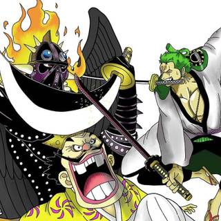 Zoro vs King wallpaper
