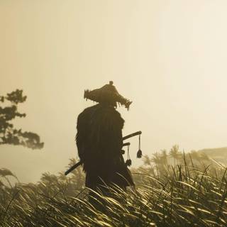 Ronin samurai wallpaper