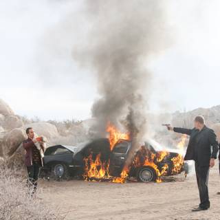 Seven Psychopaths wallpaper