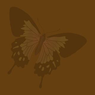 Laptop brown wallpaper