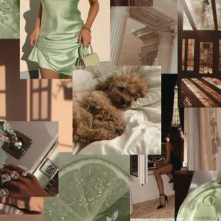 Brown and green wallpaper