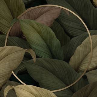 Brown and green wallpaper