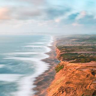 Brown and green wallpaper