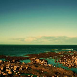 Brown and green wallpaper