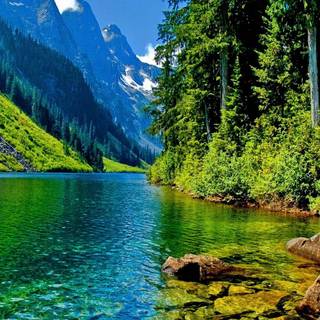 Green river wallpaper