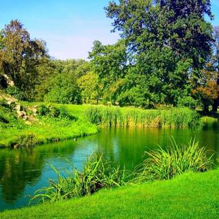 Green river wallpaper