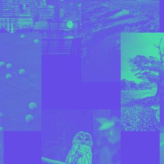 Everywhere At The End of Time wallpaper