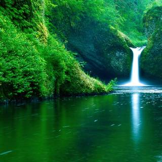 Green river wallpaper