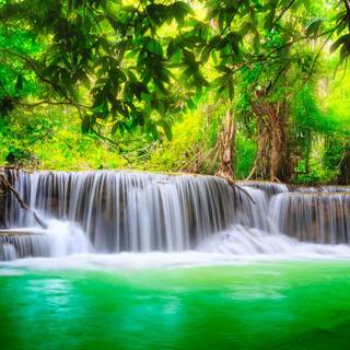 Green river wallpaper