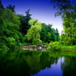 Green river wallpaper