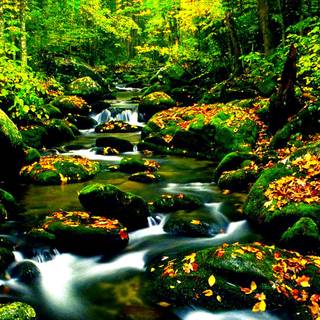 Green river wallpaper