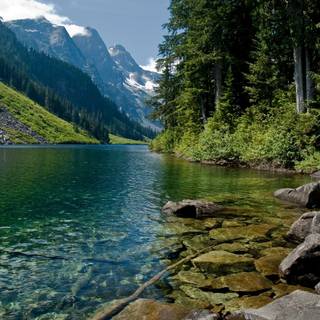 Green river wallpaper