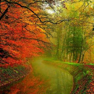 Green river wallpaper