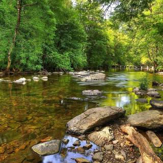 Green river wallpaper