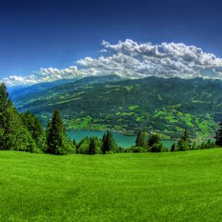 Green river wallpaper