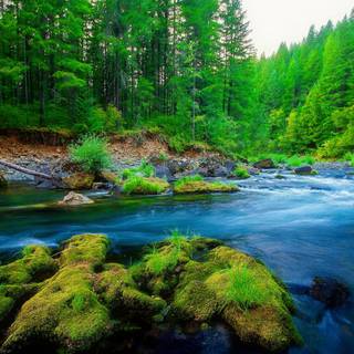 Green river wallpaper