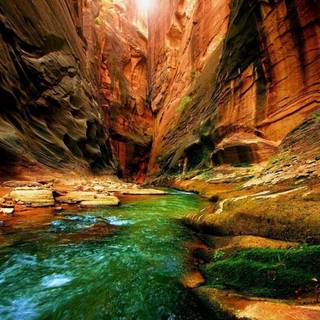 Green river wallpaper