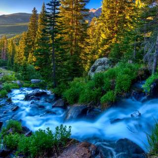 Green river wallpaper