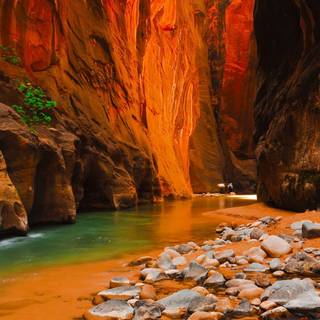 Green river wallpaper