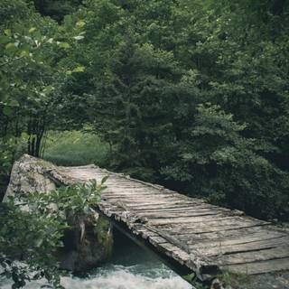 Green river wallpaper