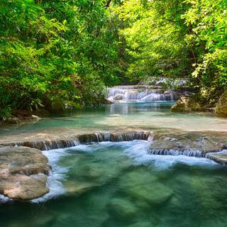 Green river wallpaper