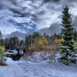 4k winter nature wallpaper