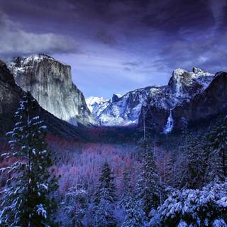 4k winter nature wallpaper