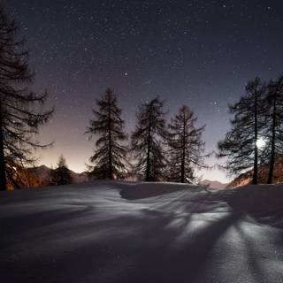 Winter night HD wallpaper