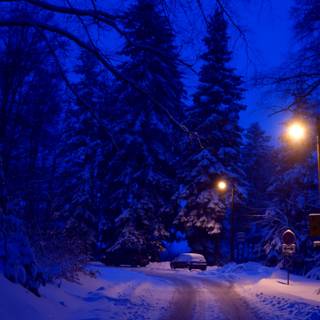 Winter night HD wallpaper