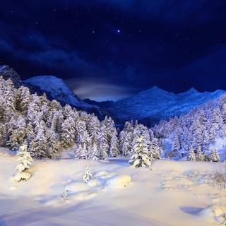 Winter night HD wallpaper