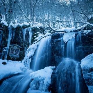 4k winter nature wallpaper