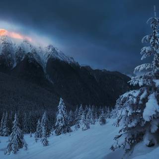 Winter night HD wallpaper