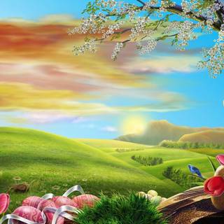 Spring time field wallpaper